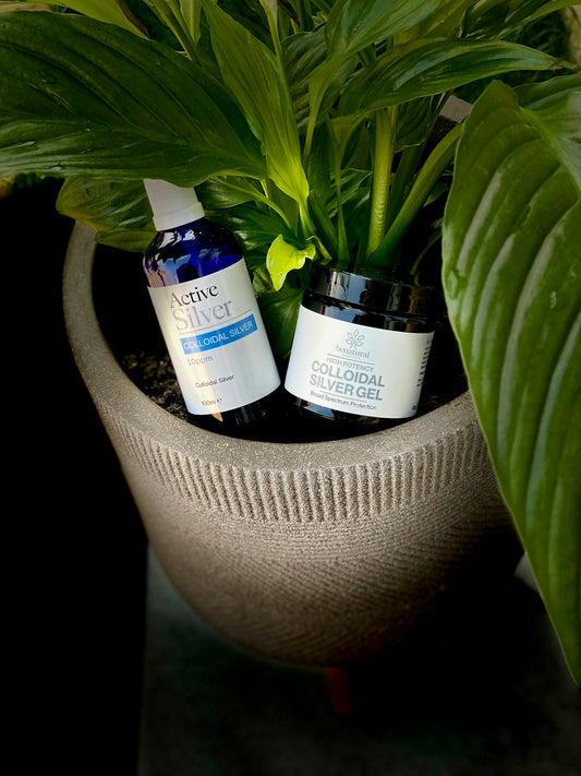 Colloidal silver products sit in a potted plant.