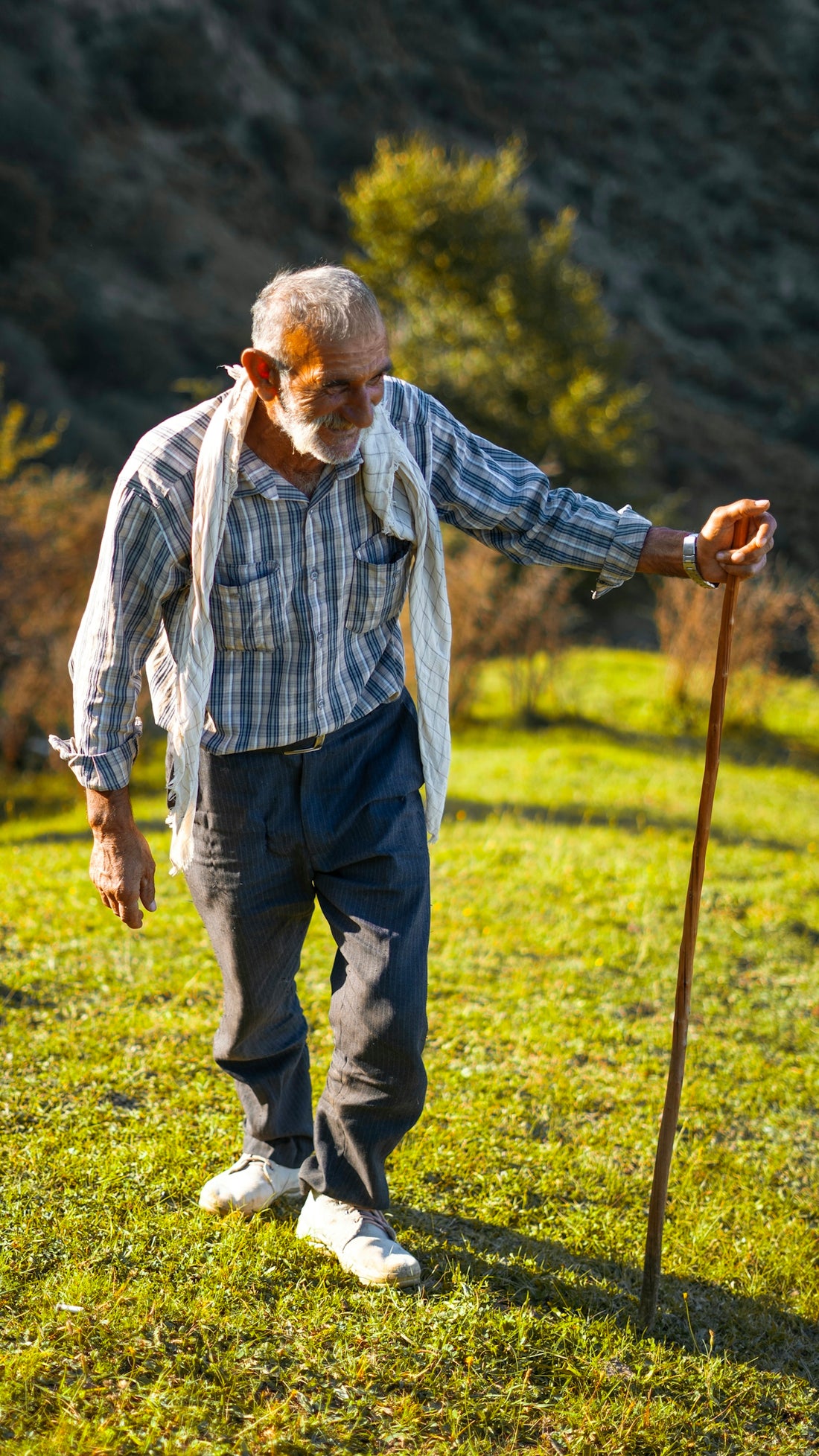 Elderly man with a walking stick in a grassy field